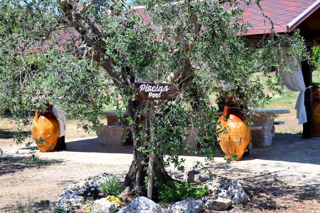 Masseria Peppeturro 奇斯泰尼诺 外观 照片
