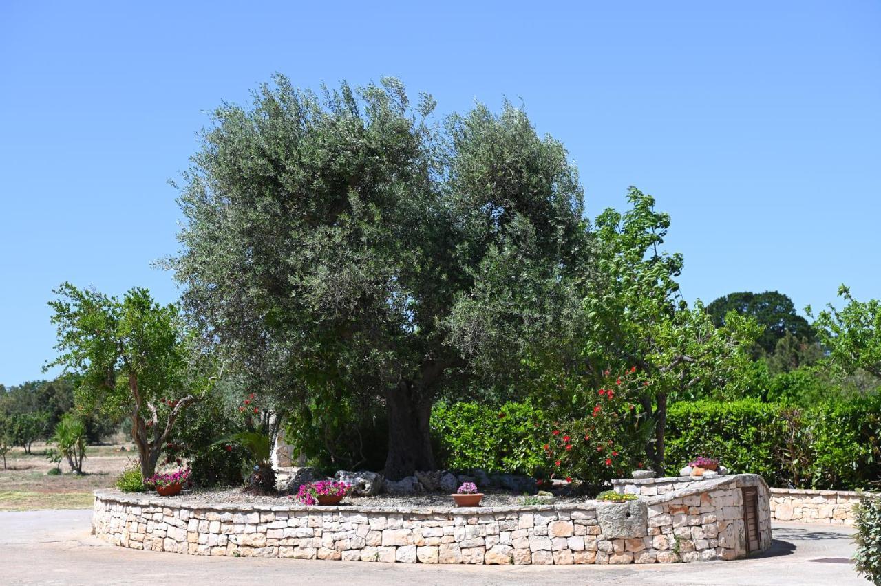 Masseria Peppeturro 奇斯泰尼诺 外观 照片
